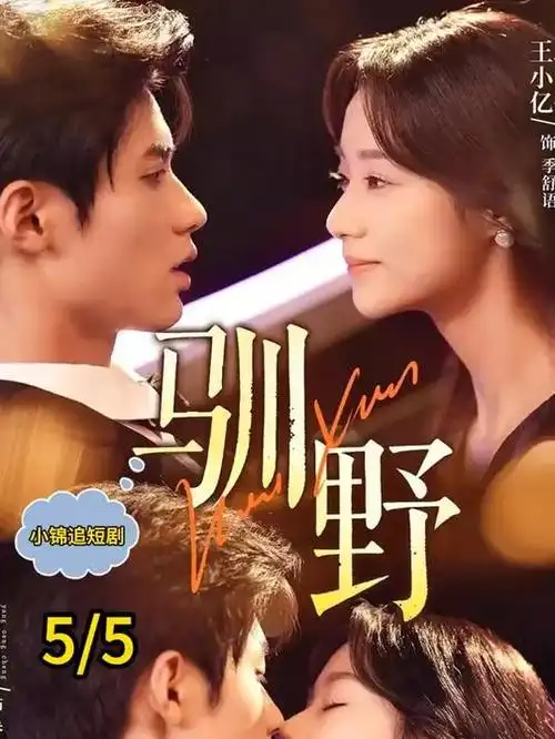 长夜将明热播电视剧全集免费观看